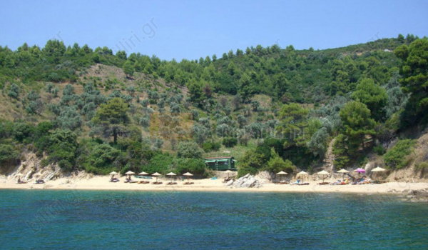 Οικόπεδο - Plot